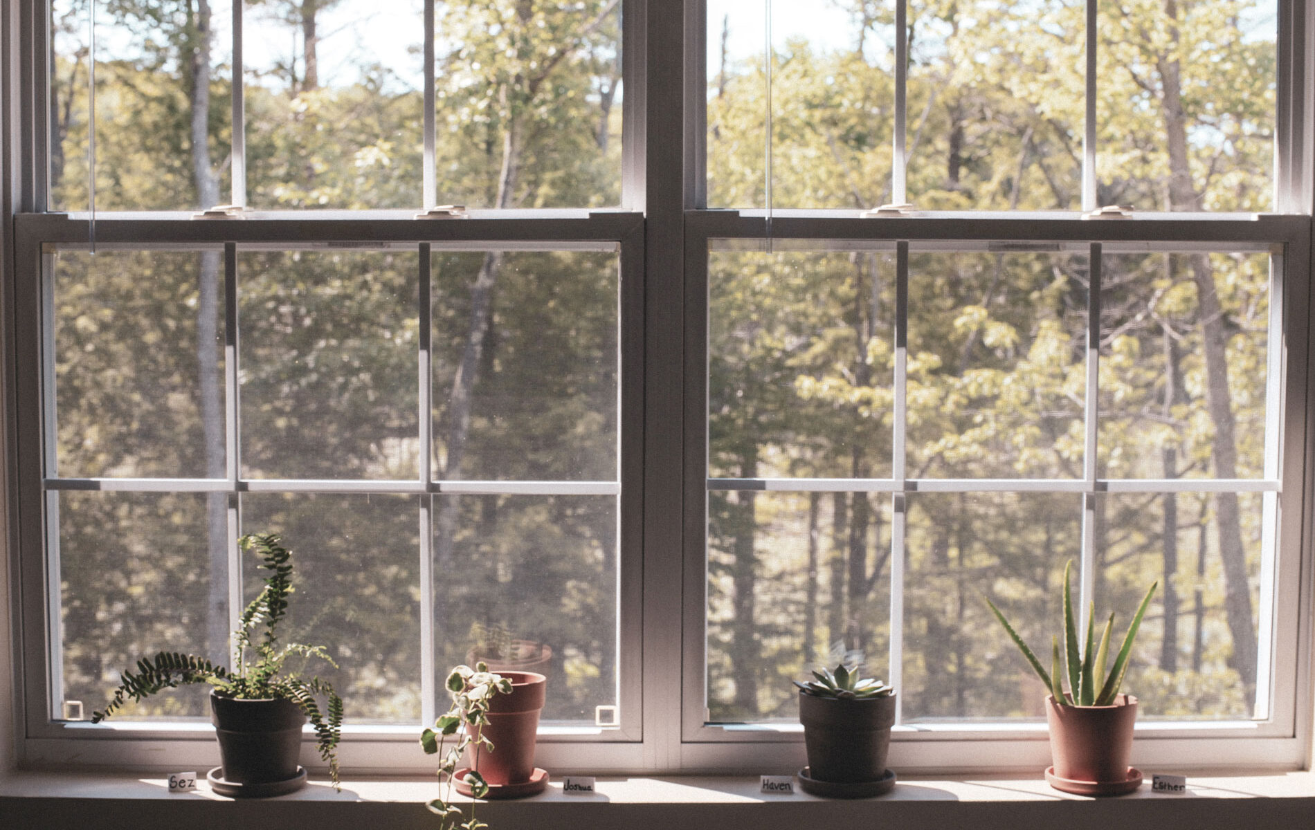 5 things to elevate your mood at home